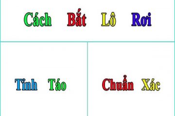 bat-lo-roi-chuan-xac